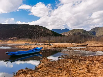 Winning Casino Aplicación móvil